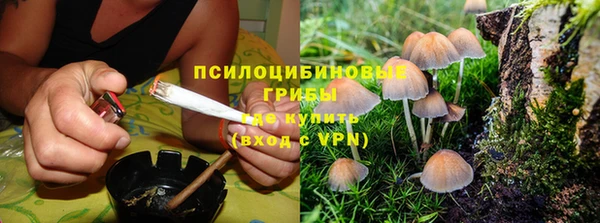 соль курить ск Алексин