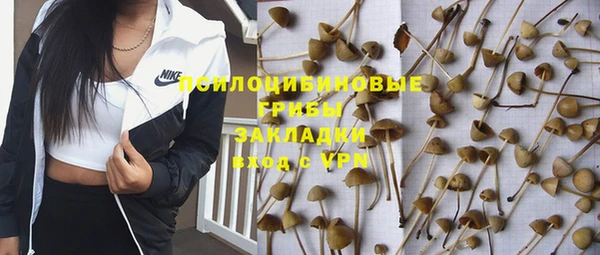 первитин Алексеевка