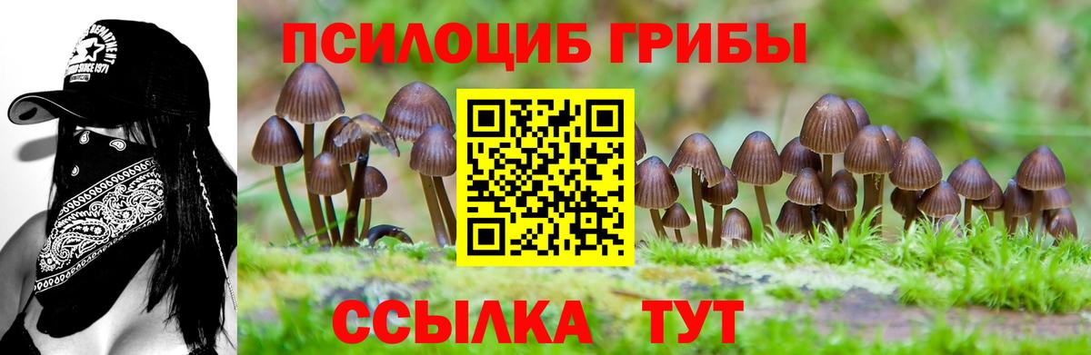 Галлюциногенные грибы мицелий  Вход с VPN  Петрозаводск 
